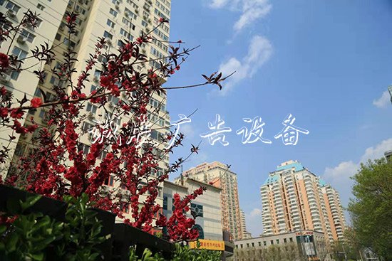 大屯街道創(chuàng)建花園式社燈箱區(qū)居民推窗見(jiàn)綠出門(mén)賞景