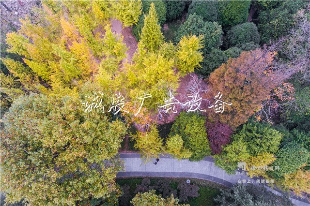我市開展“垃圾不落地”試點(diǎn)工作，三個(gè)試文化宣傳欄點(diǎn)區(qū)域?yàn)椋核らT歷史街區(qū)、孔子文化公園、西區(qū)草坪公園