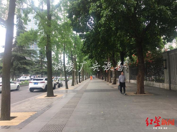 成都街頭垃圾箱消失？宣傳欄 城管委：減量調整，已拆9001個
