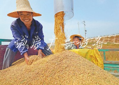 糧食庫存實 飯碗滾動燈箱端得牢(權(quán)威發(fā)布)