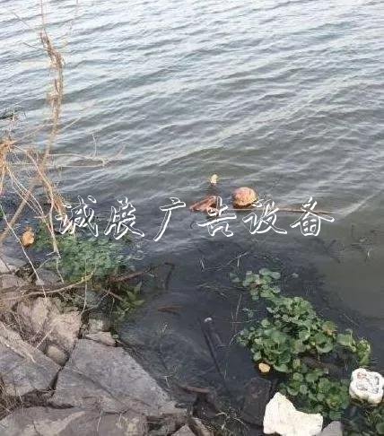 嚇人！這是什么垃圾？打文化宣傳欄開(kāi)垃圾箱后差點(diǎn)兒魂兒也沒(méi)了