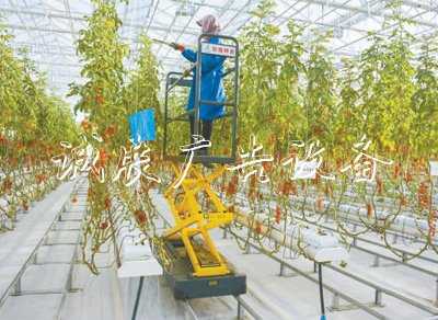 戈壁灘飄出果蔬香（田間學校宣傳欄追蹤高質量·突破資源約束）