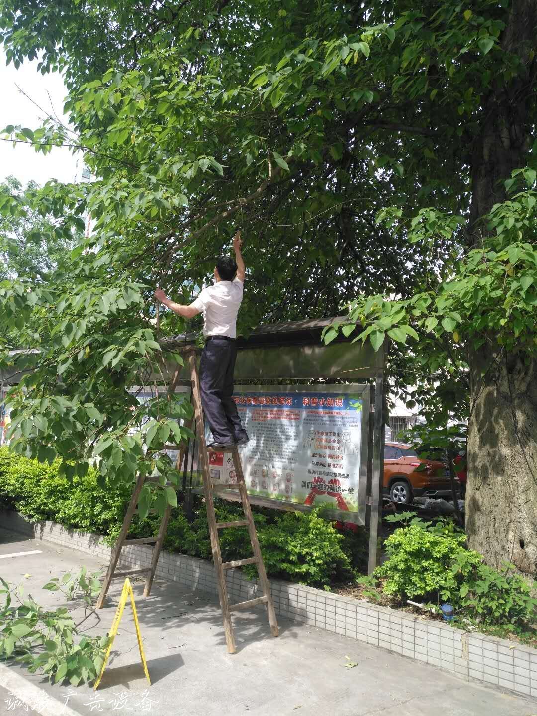 解放街道虹橋社區(qū)及滾動廣告燈箱時處理數(shù)字城管案件獲贊